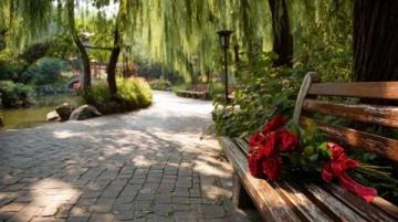 蘇州東沙湖公園:春風(fēng)中綻放的花季盛宴