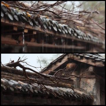 煙雨江南，味蕾飄香