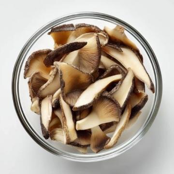 菌類食物安全注意事項(xiàng)