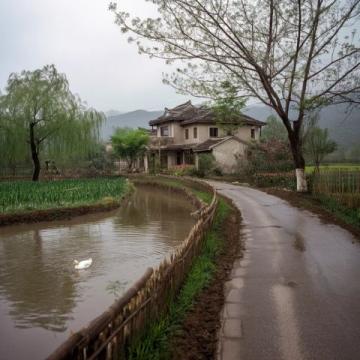 探索安徽樅陽縣的美味之旅：媒鴨、生腐與掛面等傳統(tǒng)美食的背后故事