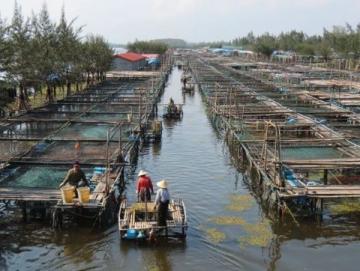 成都魚販與城管的小風(fēng)波：民生艱難還是城市管理不善？