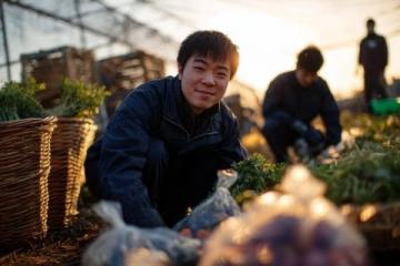 南沙生活體驗(yàn)：百元購(gòu)大袋新鮮蔬菜不再是難題