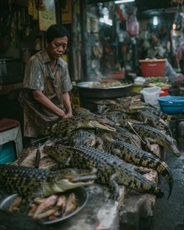 成都魚販與城管的小風(fēng)波：民生艱難還是城市管理不善？