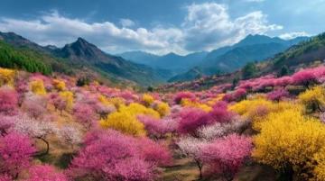 走進(jìn)春暖花開的閩南美景