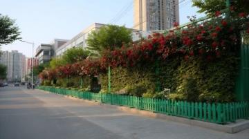 上海虹口區(qū)熱門(mén)拍品！緊鄰四川北路公園學(xué)區(qū)房?jī)?yōu)質(zhì)住宅