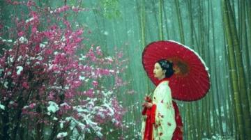 鞍山千山梨花節(jié)：非遺與美食盛宴，領(lǐng)略地域風(fēng)情