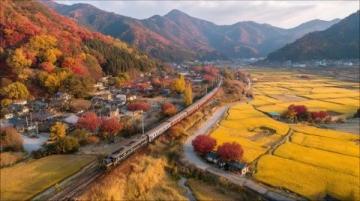 一分鐘了解遼寧盤錦市