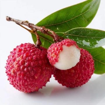 高州桂味荔枝嶺南佳果的極致風(fēng)味