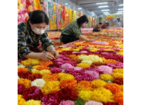 春節(jié)途經(jīng)雞街收費站：對紅河人而言，這里充滿回憶與鄉(xiāng)愁