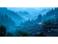揭秘浙江松陽縣陳家鋪村600年古韻：自駕指南、必打卡景點與美食之旅