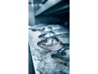 三點必知！養(yǎng)殖青魚的水深度、密度和水環(huán)境管理秘籍