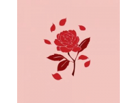 玫瑰創(chuàng)業(yè)與生意現(xiàn)如今玫瑰
