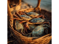 夏日微風(fēng)中的味蕾享受：寶應(yīng)六月鮮蟹黃魚頭煲