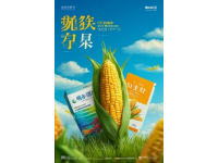 如何制作美味雙皮奶，廣東經(jīng)典甜品教學指南