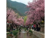 假如你有幸來(lái)到河北最美城市南宮，沒(méi)吃過(guò)這幾樣，算白來(lái)一趟！