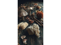 山藥和人參:深度挖掘中醫(yī)養(yǎng)生的核心