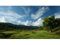 土地性質(zhì)劃分(土地性質(zhì)常識(shí))