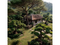 深圳東部華僑城：茶溪谷度假公園，綠色氧吧核心景區(qū)