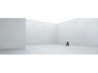 2025西安大唐芙蓉園新春燈會(huì)：穿越時(shí)空的盛唐綺夢(mèng)之旅