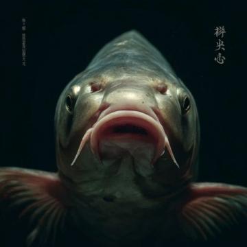 泰熱門節(jié)目使用魔鬼魚引發(fā)爭議，制片人聲明回應(yīng)質(zhì)疑