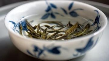 傳承二十載，朱雀打邊爐：粵式藥膳原湯鍋底秘制再現(xiàn)上海