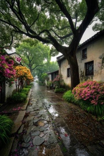 蘇州兩座著名古街：山塘街與平江路掠影