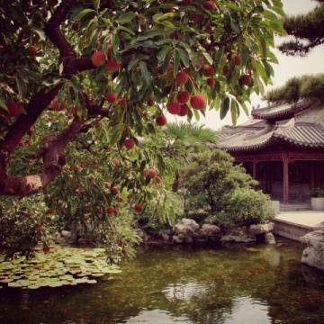 武漢萬松園：不夜城里的味蕾探險之旅