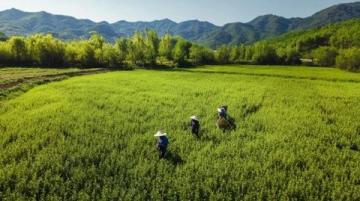 四川吉隆達(dá)集團(tuán)與川農(nóng)營養(yǎng)所學(xué)貫通 走基層微量元素發(fā)展