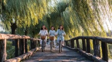 五一游衢州：沉浸南孔文化之旅，探尋千年古城魅力
