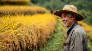 衡陽一日游攻略: 吃住行不怕迷路!