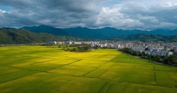 安徽省淮北市:歷史文化與現(xiàn)代經(jīng)濟(jì)并重的魅力之城