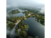 早就聽聞東莞麻涌的華陽湖濕地公園美不勝收，終于在這個周末，我開著我的16款軒逸