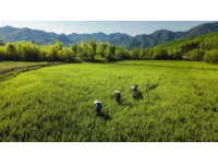 四川吉隆達(dá)集團(tuán)與川農(nóng)營養(yǎng)所學(xué)貫通 走基層微量元素發(fā)展