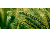 中國(guó)各地農(nóng)業(yè)新發(fā)現(xiàn)：多元化的農(nóng)業(yè)奇跡震撼全國(guó)