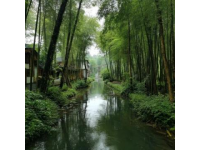 武漢萬松園：不夜城里的味蕾探險之旅