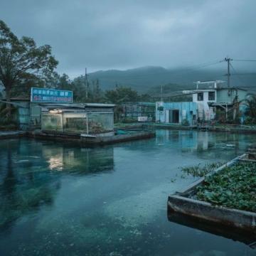 成都魚販與城管的小風(fēng)波：民生艱難還是城市管理不善？