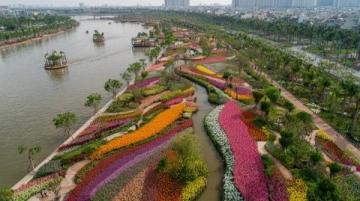 蘇州東沙湖公園:春風(fēng)中綻放的花季盛宴