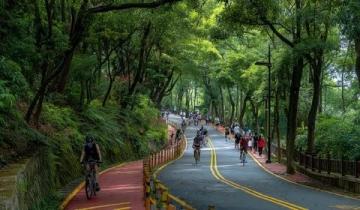 夜幕下的合興路：告別舊居后的溫暖回憶與新發(fā)現(xiàn)