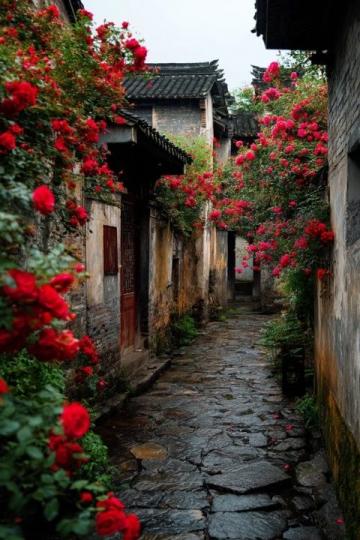 蘇州旅游游玩攻略來襲