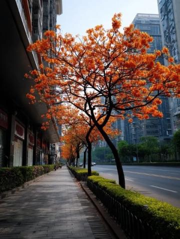 春日花開時(shí)節(jié)，蘇州杭州河鮮嘗鮮記