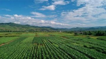我國(guó)最舍得吃的10大省，哪個(gè)省最舍得吃？有你家鄉(xiāng)嗎？