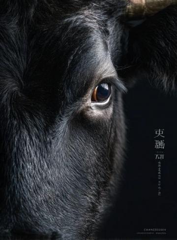 諸葛饞鹵牛肉品牌故事與品質(zhì)承諾