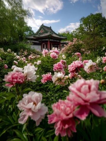 春城昆明:四季如春的旅游勝地融合自然與文化美景