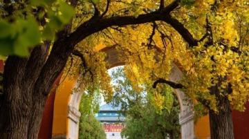 5日4夜，1500玩轉(zhuǎn)保定，附詳細(xì)路線行程！