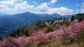 (游記)重游公母山