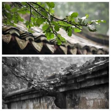 煙雨江南，味蕾飄香