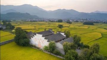 浙江松陽:親子慢游的理想之地