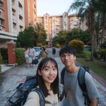 情寄嵊州香榧