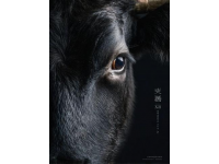 諸葛饞鹵牛肉品牌故事與品質(zhì)承諾