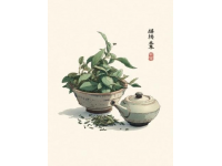 沖泡西湖龍井(龍井沖泡常識(shí))